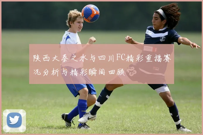 陕西大秦之水与四川FC精彩重播赛况分析与精彩瞬间回顾