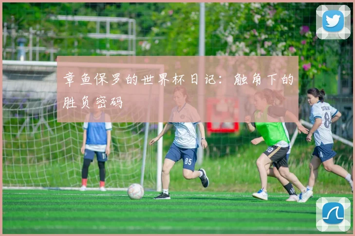 章鱼保罗的世界杯日记:触角下的胜负密码