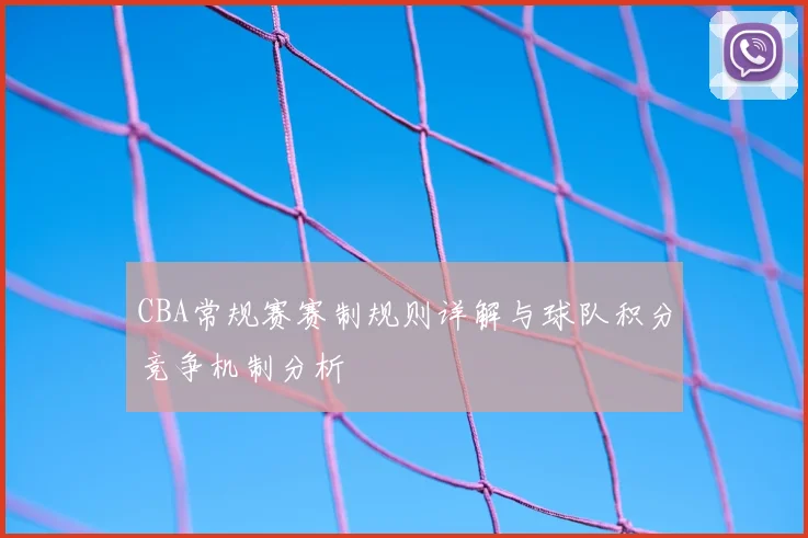 CBA常规赛赛制规则详解与球队积分竞争机制分析