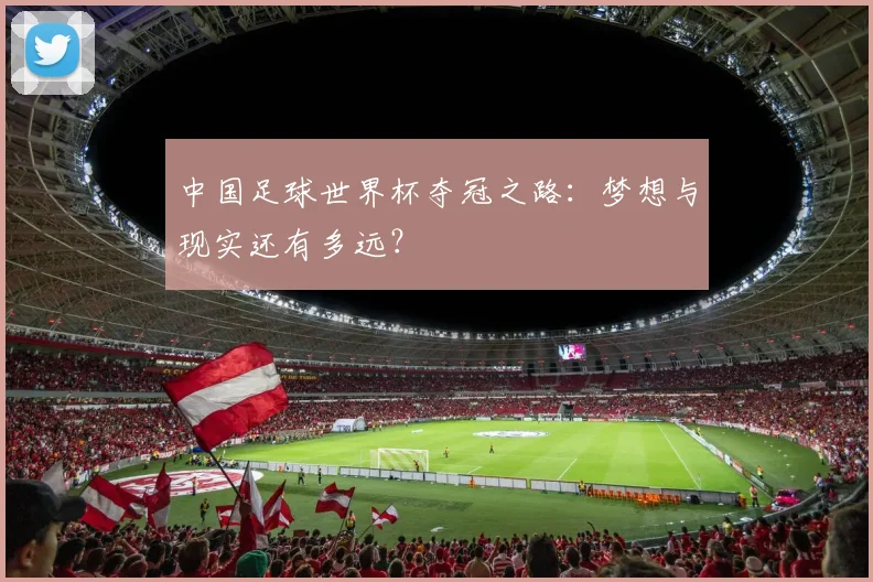 中国足球世界杯夺冠之路:梦想与现实还有多远?