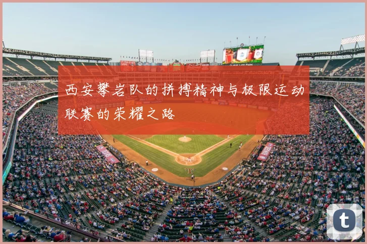 西安攀岩队的拼搏精神与极限运动联赛的荣耀之路
