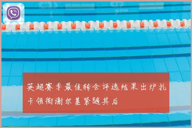 英超赛季最佳转会评选结果出炉扎卡领衔谢尔基紧随其后