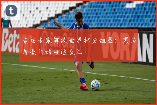 专访专家解读世界杯分组图：黑马与豪门的命运交汇