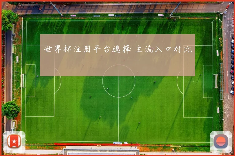 世界杯注册平台选择 主流入口对比
