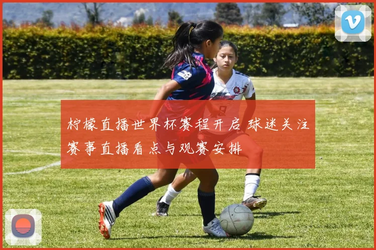柠檬直播世界杯赛程开启 球迷关注赛事直播看点与观赛安排