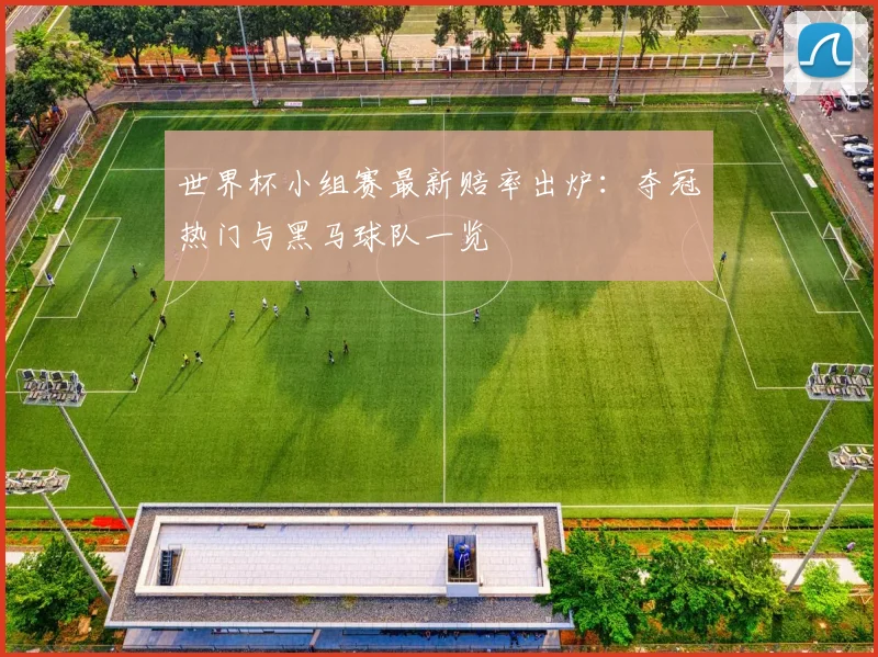 世界杯小组赛最新赔率出炉:夺冠热门与黑马球队一览