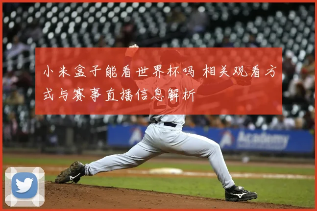 小米盒子能看世界杯吗 相关观看方式与赛事直播信息解析