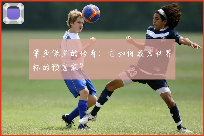 章鱼保罗的传奇：它如何成为世界杯的预言家？