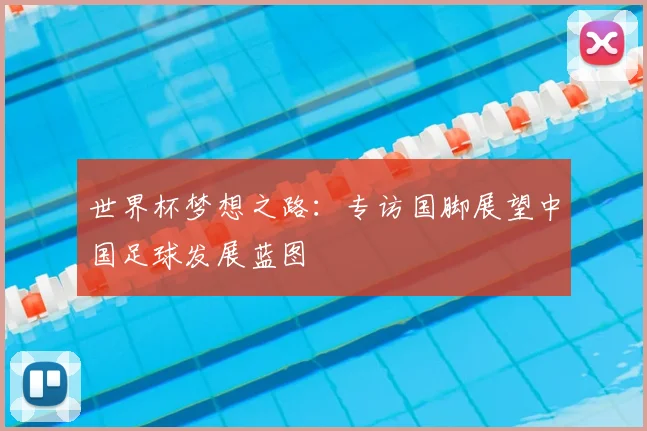 世界杯梦想之路：专访国脚展望中国足球发展蓝图